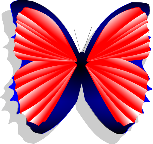 Blue And Pink Butterfly