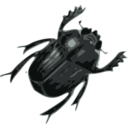 download Beatle clipart image with 90 hue color