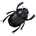 download Beatle clipart image with 180 hue color