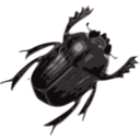 download Beatle clipart image with 270 hue color