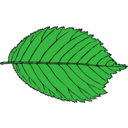 download Bi Serrate Leaf clipart image with 45 hue color