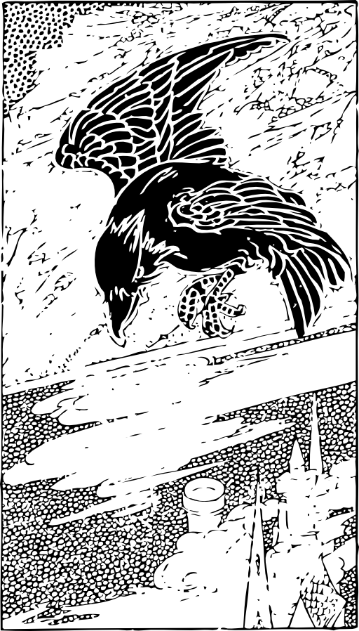 Crow Flying
