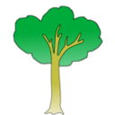 download Tree clipart image with 45 hue color