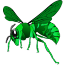 download Brown Yellow Hornet clipart image with 90 hue color