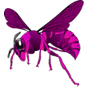 download Brown Yellow Hornet clipart image with 270 hue color