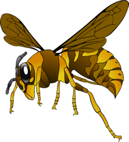 Brown Yellow Hornet