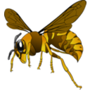 download Brown Yellow Hornet clipart image with 0 hue color