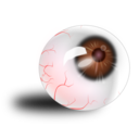 download Eyeball Brown Bloodshot clipart image with 0 hue color