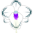 download Wild Orchid clipart image with 225 hue color