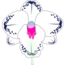 download Wild Orchid clipart image with 270 hue color