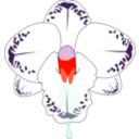 download Wild Orchid clipart image with 315 hue color