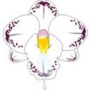 Wild Orchid