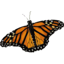 download Danaus Plexippus clipart image with 0 hue color