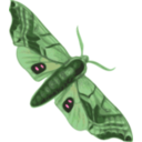 download Moth Smerinthus Geminatus Top View clipart image with 90 hue color