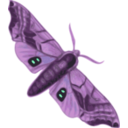 download Moth Smerinthus Geminatus Top View clipart image with 270 hue color
