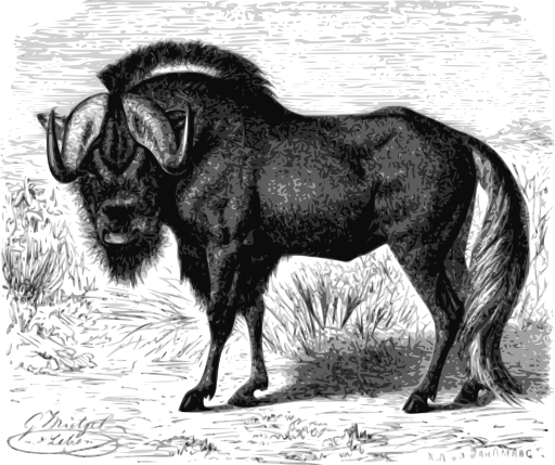 Gnu