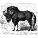 Gnu