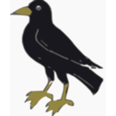 download Crow clipart image with 45 hue color