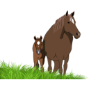 download Mare And Foal clipart image with 0 hue color