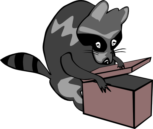 Raccoon Opening Box