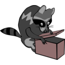 Raccoon Opening Box