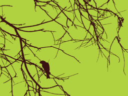 Bird Branches