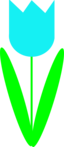 Spring Flower