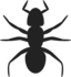 Ant Icon