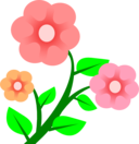 3 Flowers