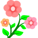 3 Flowers