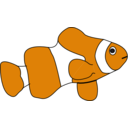 Clown Fish