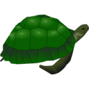 download Turtle clipart image with 45 hue color
