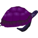 download Turtle clipart image with 225 hue color