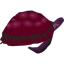 download Turtle clipart image with 270 hue color