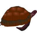 download Turtle clipart image with 315 hue color