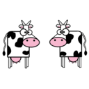 Cows