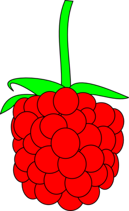 Simple Raspberry