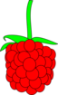 Simple Raspberry