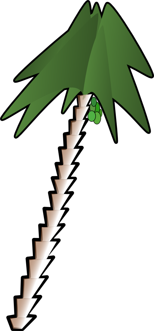 Leaning Palm Tree