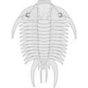 download Trilobite Paraceraurus clipart image with 45 hue color