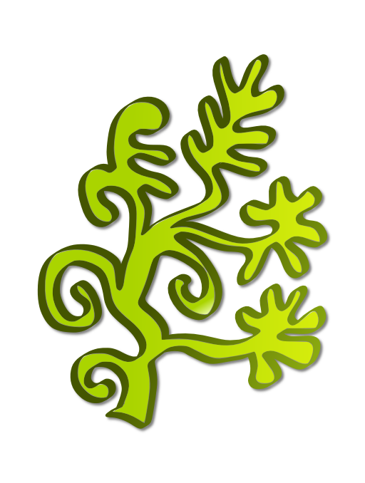 Water Plant