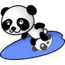 Surfer Panda