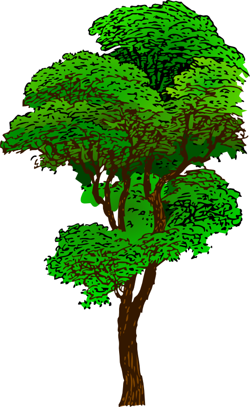 Colorized Tree