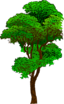 Colorized Tree