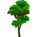 download Colorized Tree clipart image with 0 hue color