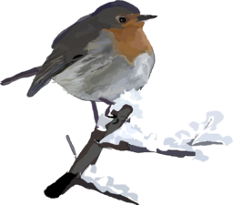 Robin