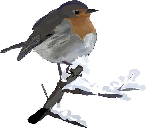 Robin