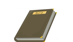 Diary Costea Bogdan 01