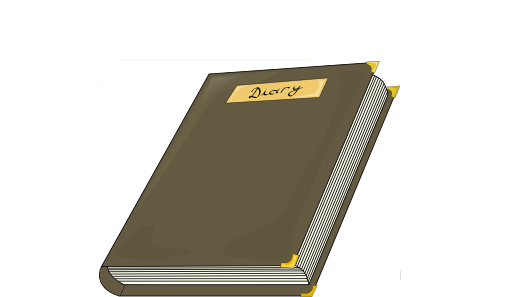 Diary Costea Bogdan 01