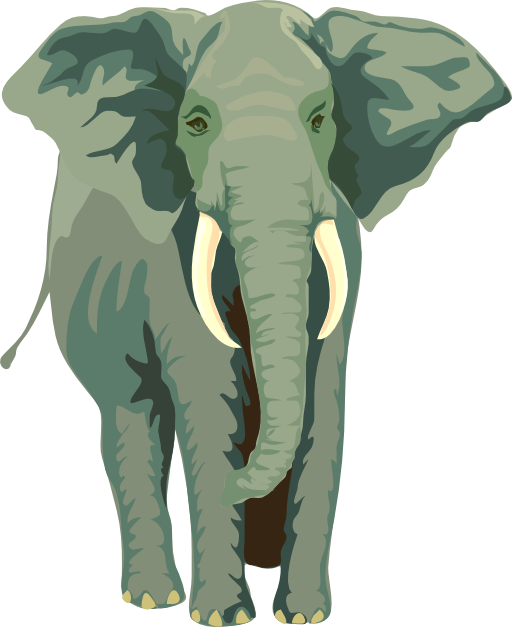 Architetto Elefante 01
